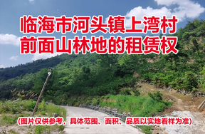 临海市河头镇上湾村前面山林地的租赁权